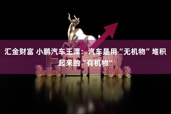 汇金财富 小鹏汽车王潭：汽车是用“无机物”堆积起来的“有机物”